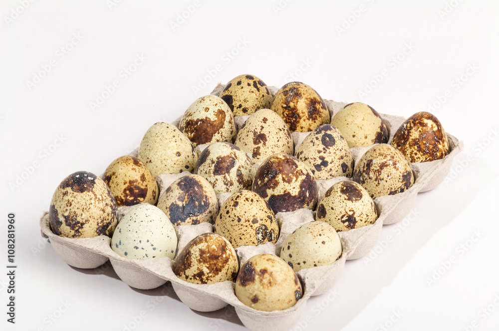 Eggs in tray Eggs in tray
