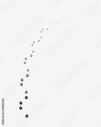 Footprints of dog, turn right, vector