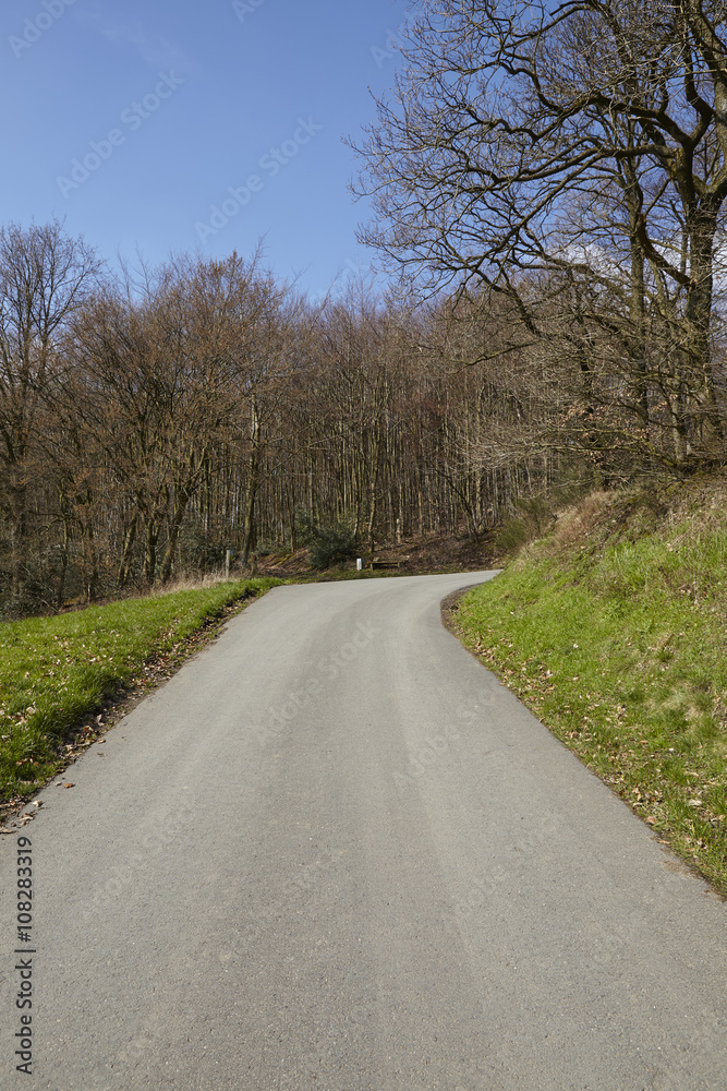 Strassen - Schmale Fahrbahn an einem Wald Strassen - Schmale Fahrbahn an einem Wald