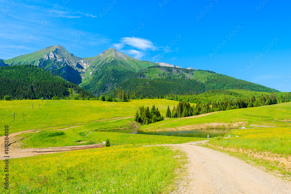 Road in green valley in summer landscape of Tatra Mountains, Slovakia