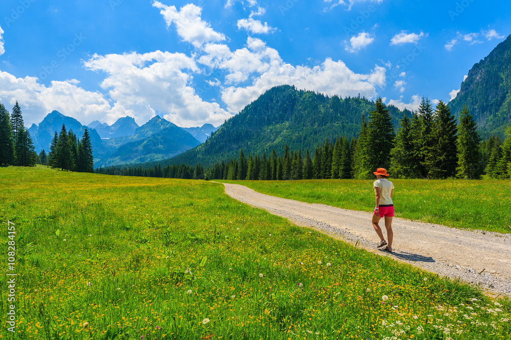 Fototapeta premium Green summer landscape and young woman tourist walking on hiking trail in High Tatra Mountains, Slovakia