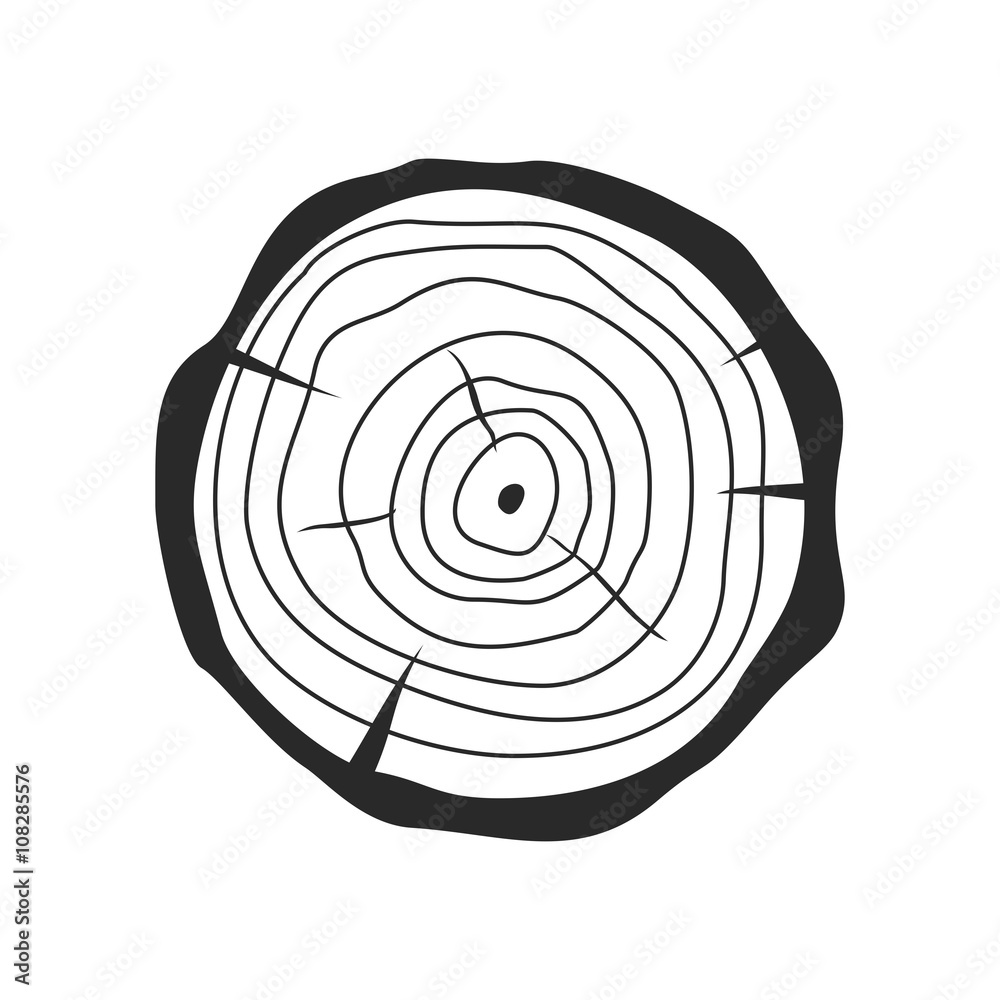 Cross section of tree stump in flat style isolated on white background. Tree trunk cross section natural cut wood slice circle timber ring. Vector illustration Cross section of tree stump in flat style isolated on white background. Tree trunk cross section natural cut wood slice circle timber ring. Vector illustration