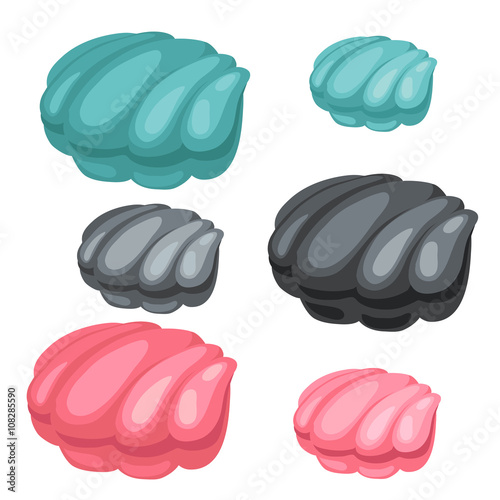 Three pearl shell blue, black and pink color