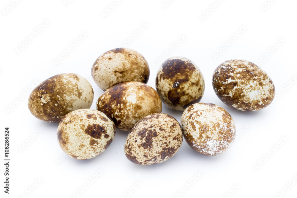 Obraz premium Quail eggs the isolated on a white background.