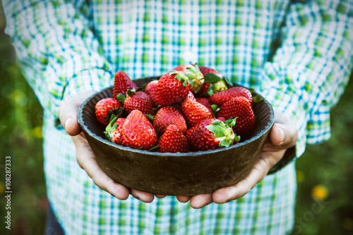 Fresh strawberries