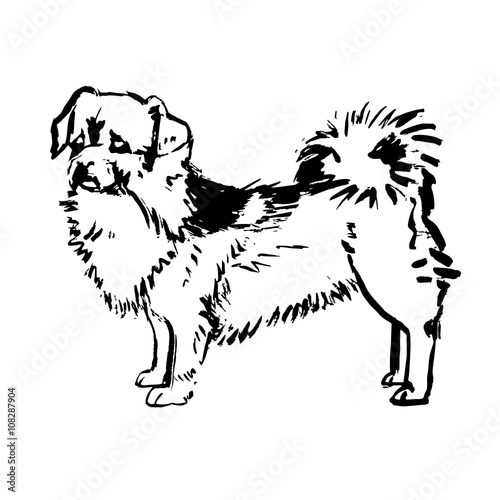 dog vecto