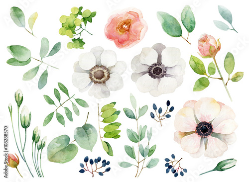 Set of floral elements on white background