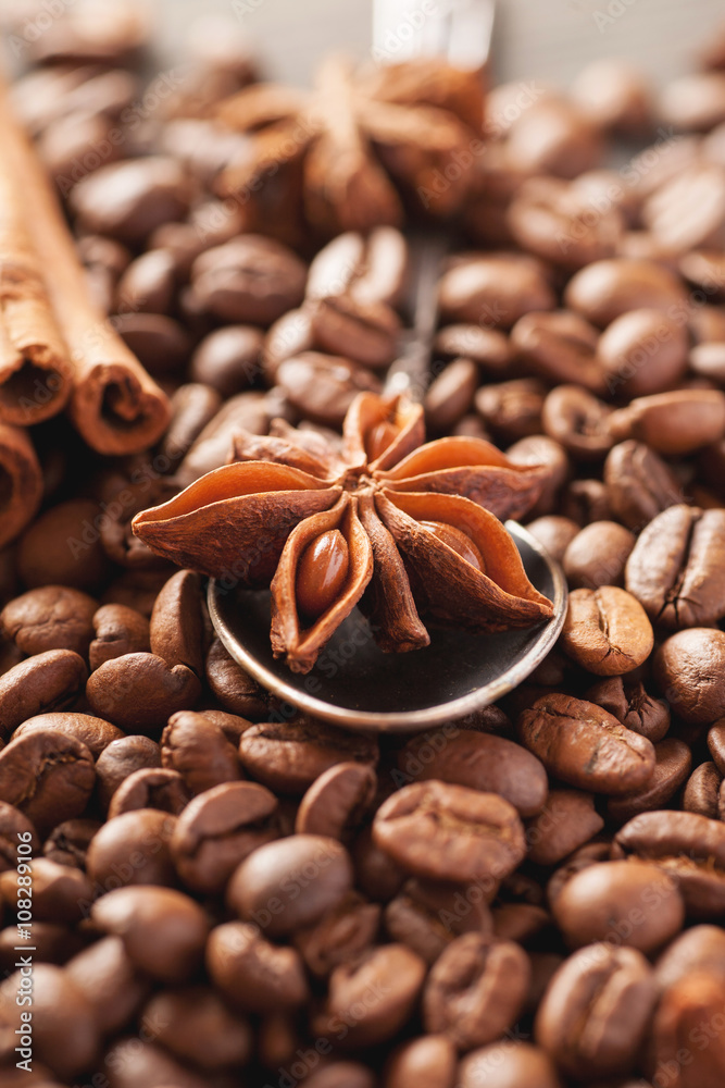 Coffee beans, cinnamon and star anise closeup Coffee beans, cinnamon and star anise closeup