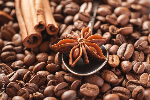 Star anise with cinnamon and roasted coffee beans © Glevalex
