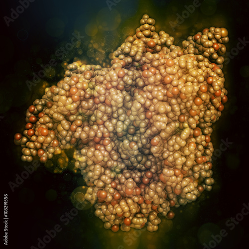 Aromatase (estrogen synthase) enzyme.  photo