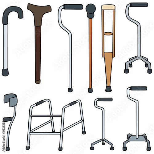 vector set of walking stick