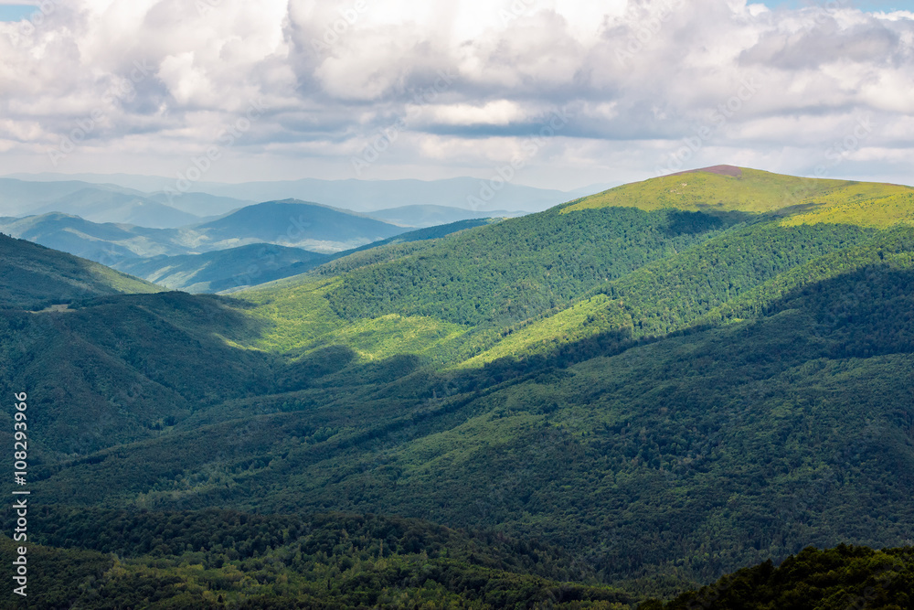 light on mountain slope with forest light on mountain slope with forest
