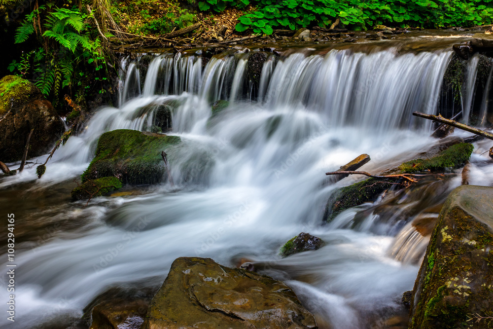 forest stream  splashes on the rock cascade