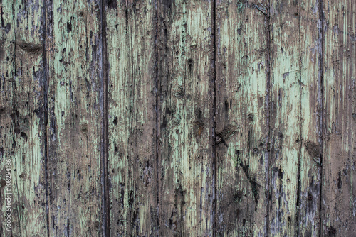 old green paint on rotten wood