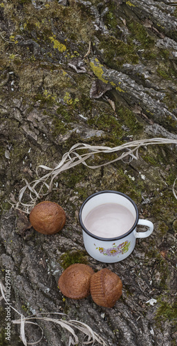 cap of hot chocolate and homemade cupcake on the bark of the tre