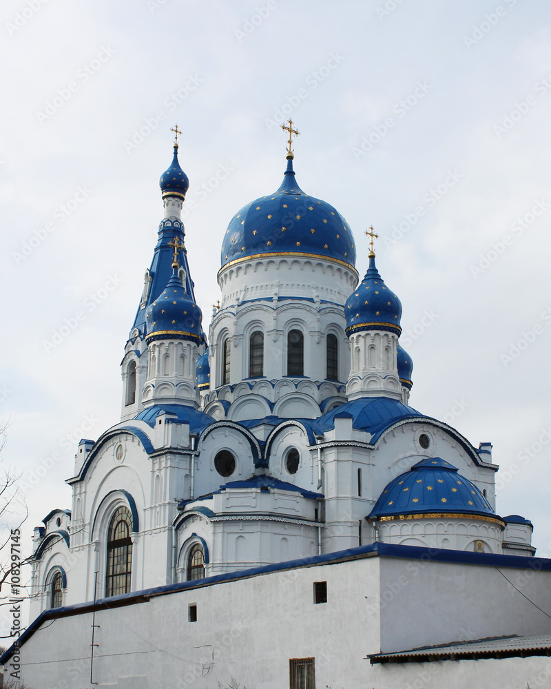 Cathedral of the Holy Virgin in the city of Gatchina, Leningrad region in the spring of 2016.
