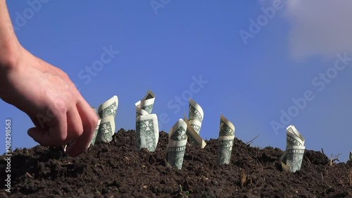 man puts US dollars that are growing out of the ground