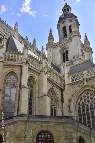 L'art gothique de la basilique St-Martin de Hal en Brabant flamand