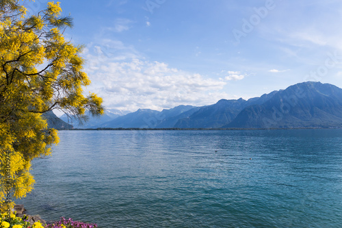 Mountains and lake Geneva