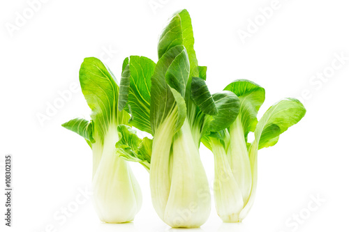 Canvastavla Pak Choi frisch