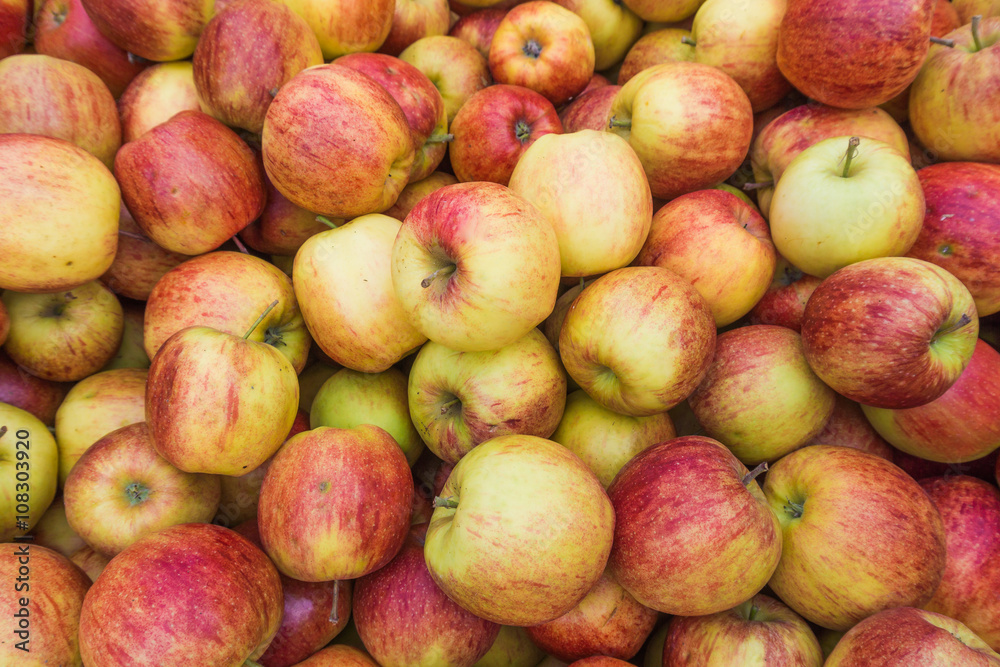 fresh red and yellow apples. Group of apples fresh red and yellow apples. Group of apples