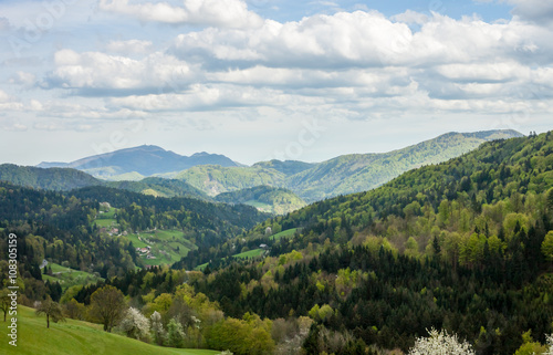 Green spring mountains in Slovenia © chechotkin