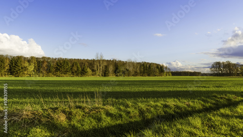 Frühling