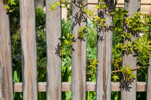 wooden fence with green tree branches