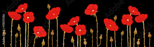 Panorama of blossoming red poppies on black background
