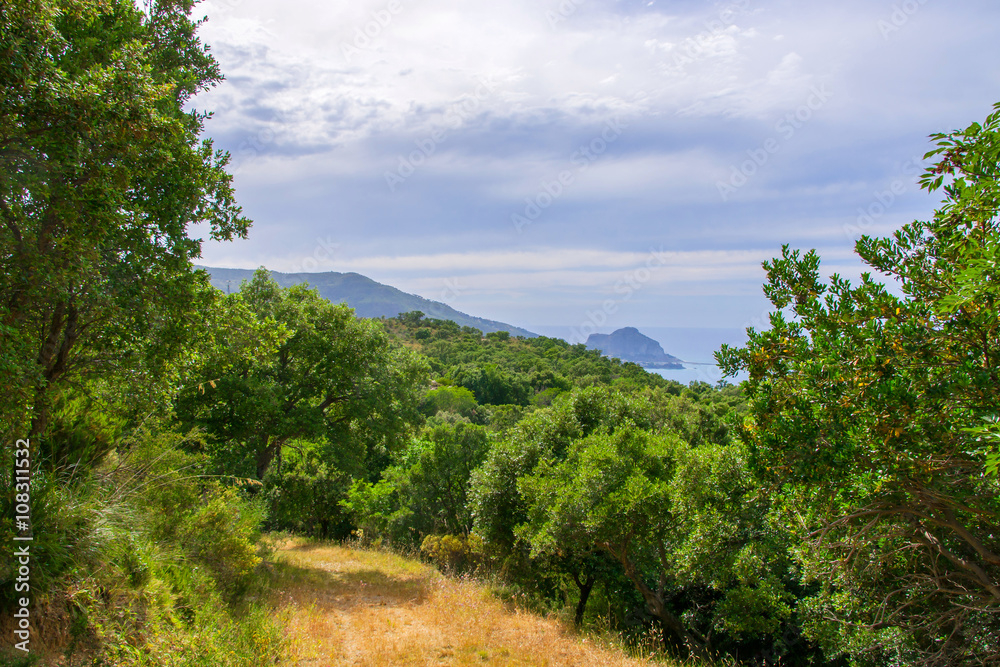 Beautiful forest trail along the coast of Sicily