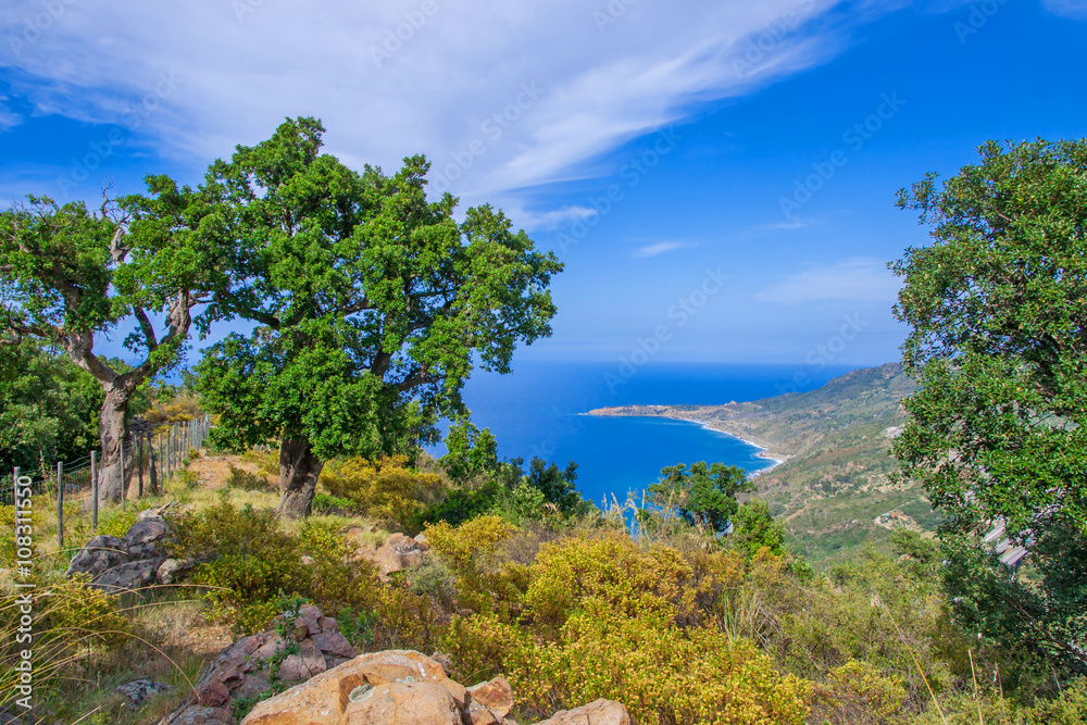Beautiful summer view of the coast of Sicily