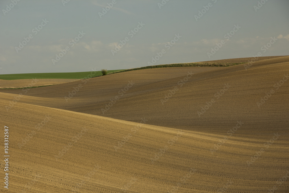 arable hills land and sky background