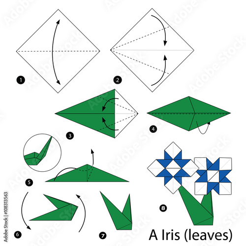 step by step instructions how to make origami A iris (leaves).