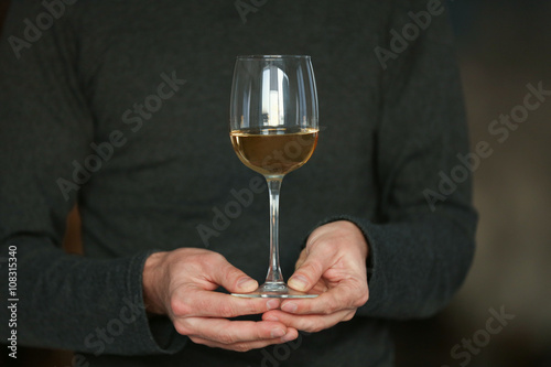 Man holding white wine in a glass, close up © Africa Studio