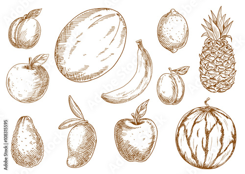 Organically grown tropical, garden fruits sketches