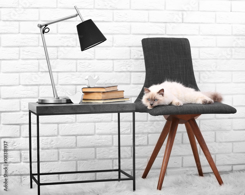 Color-point cat lying on bl...
