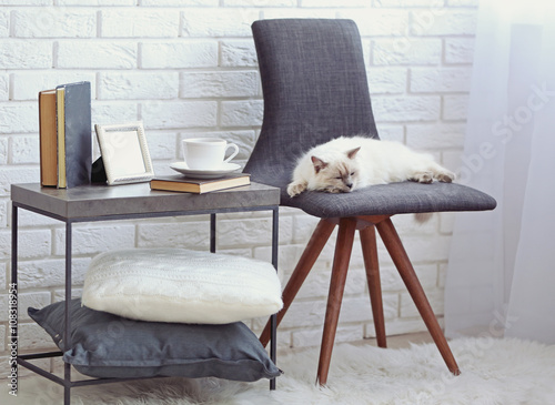 Color-point cat lying on bl...
