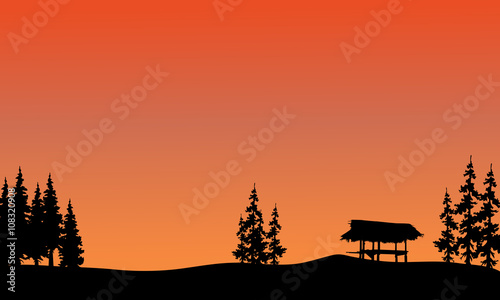 Silhouette of gazebo and spruce