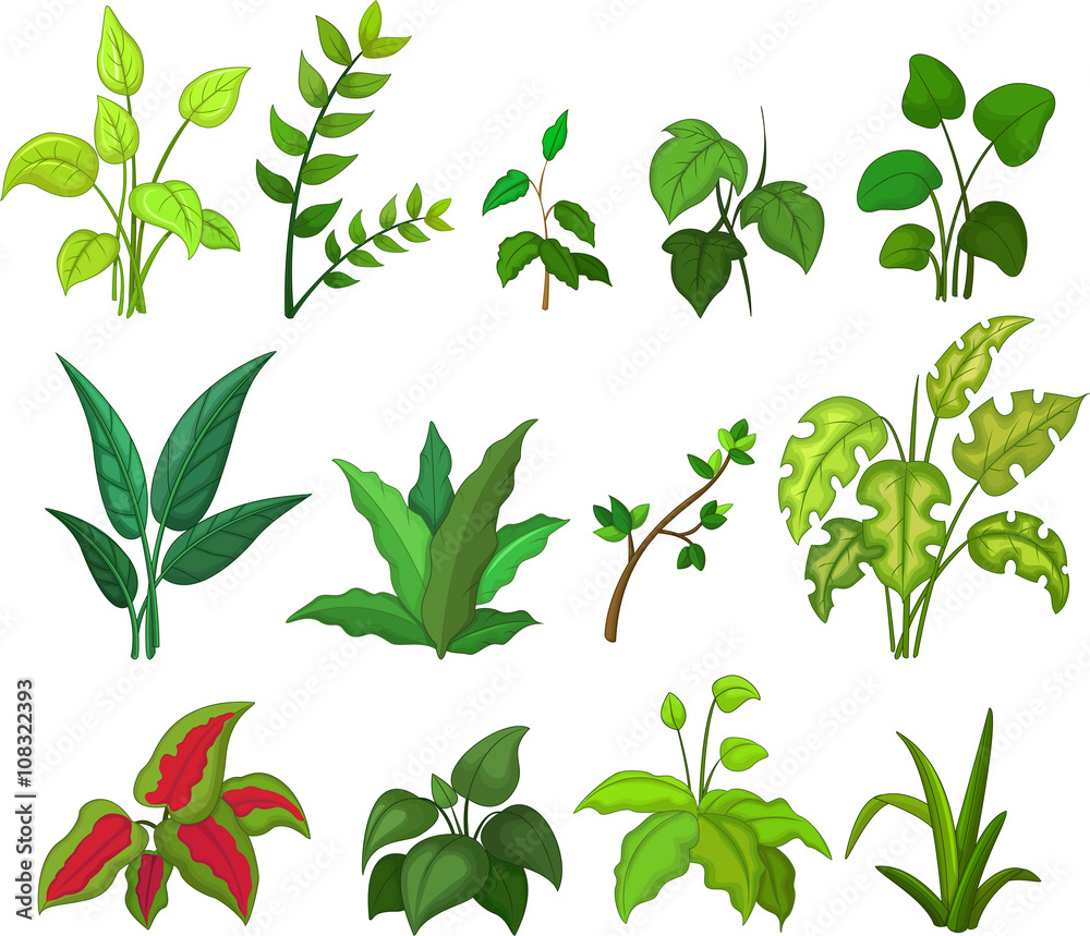 collection of leafs cartoon collection of leafs cartoon