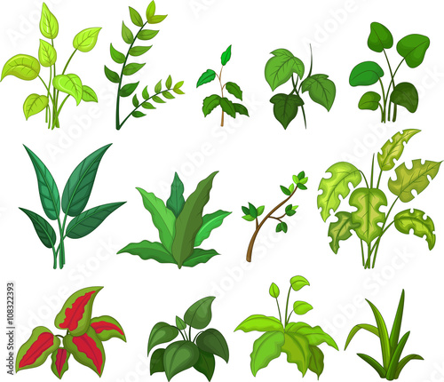 collection of leafs cartoon 