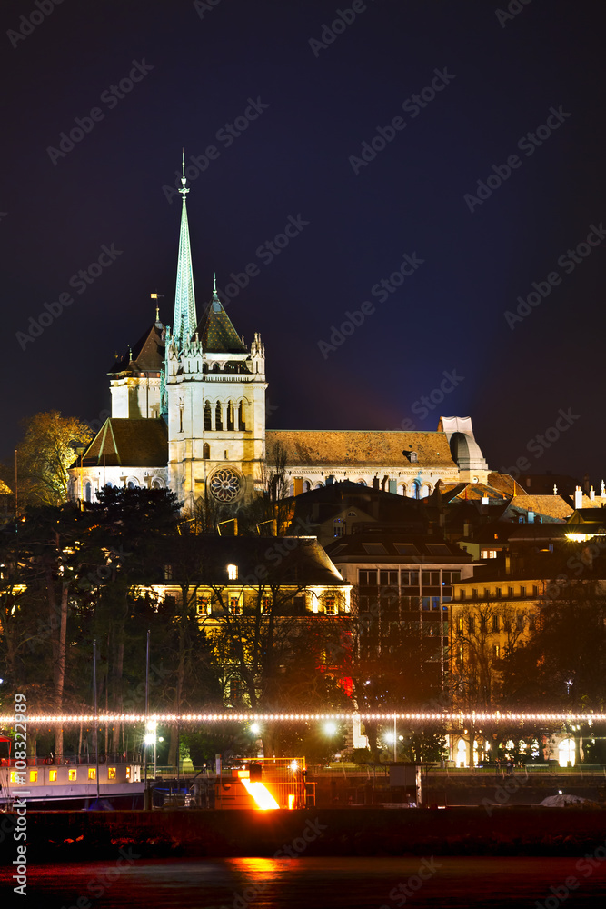 Geneva cityscape overview with St Pierre Cathedral