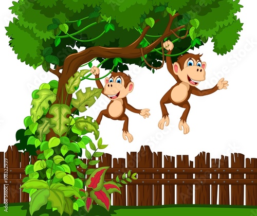 Fototapeta Naklejka Na Ścianę i Meble -  funny two monkey cartoon hinging in the branch