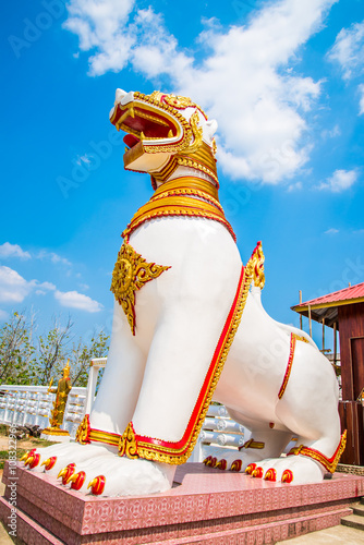 White lion in hindu background photo