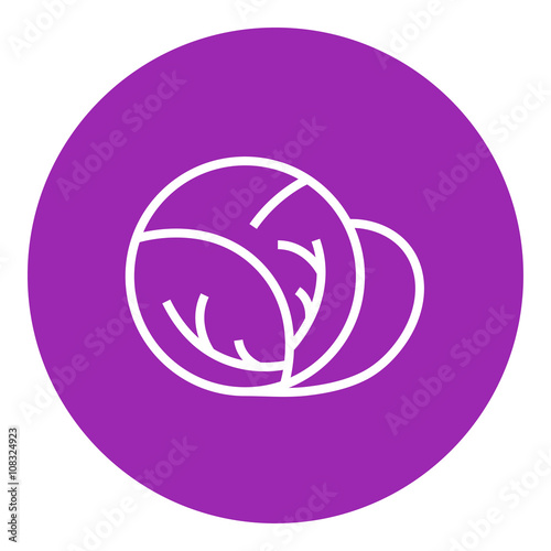 Cabbage line icon 