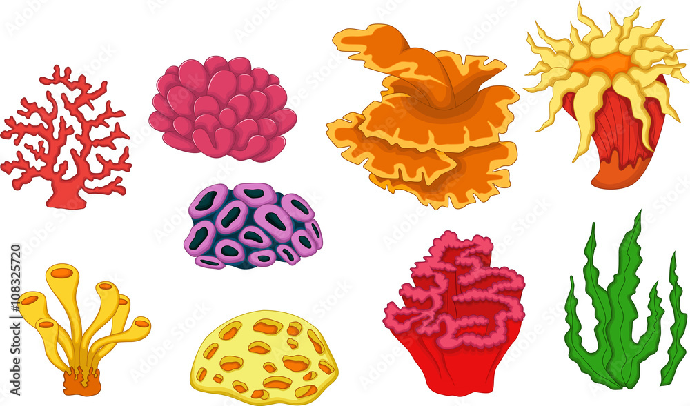 Naklejka premium beautiful coral collection