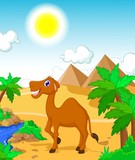 funny camel cartoon with desert landscape background