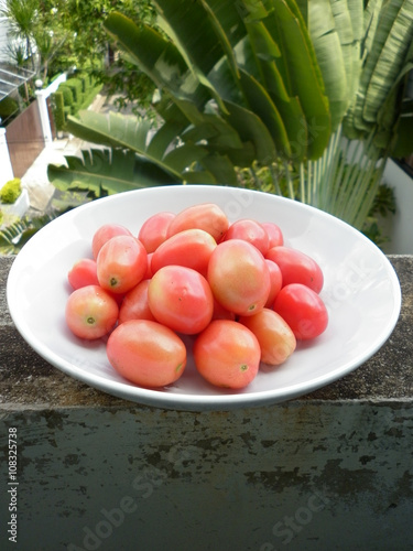 fresh tometo on white dish nature background 2 photo