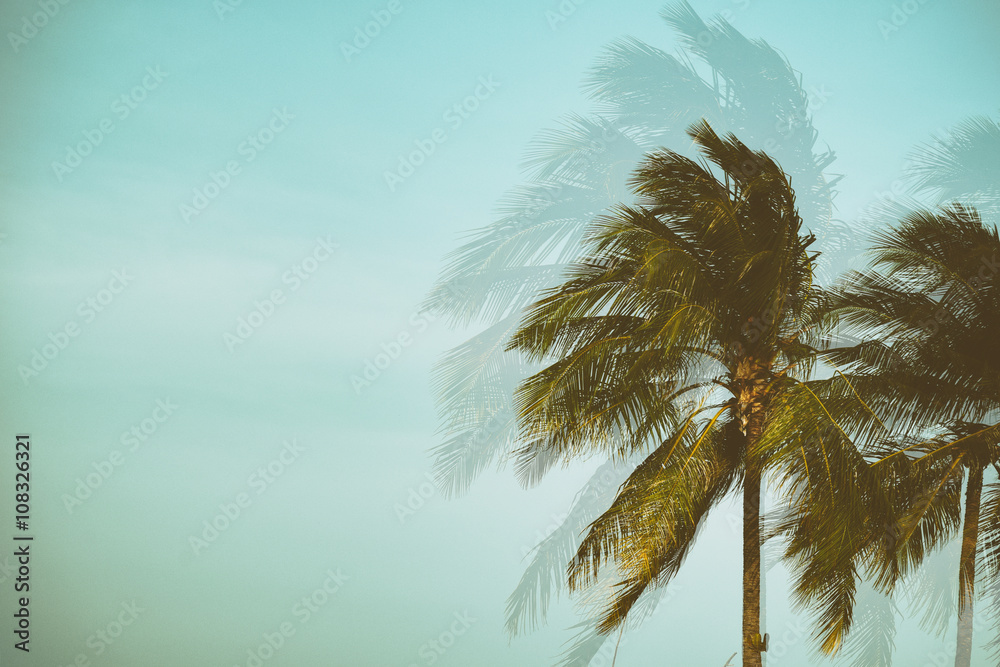 Obraz premium Silhouette palm tree with double exposure effect in vintage filter (background)