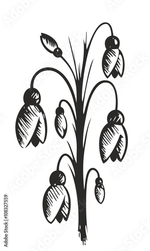 Drawing of spring flowers.
