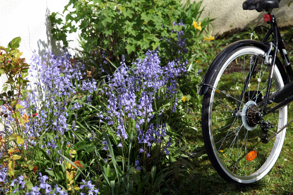 Un vélo dans un jardin